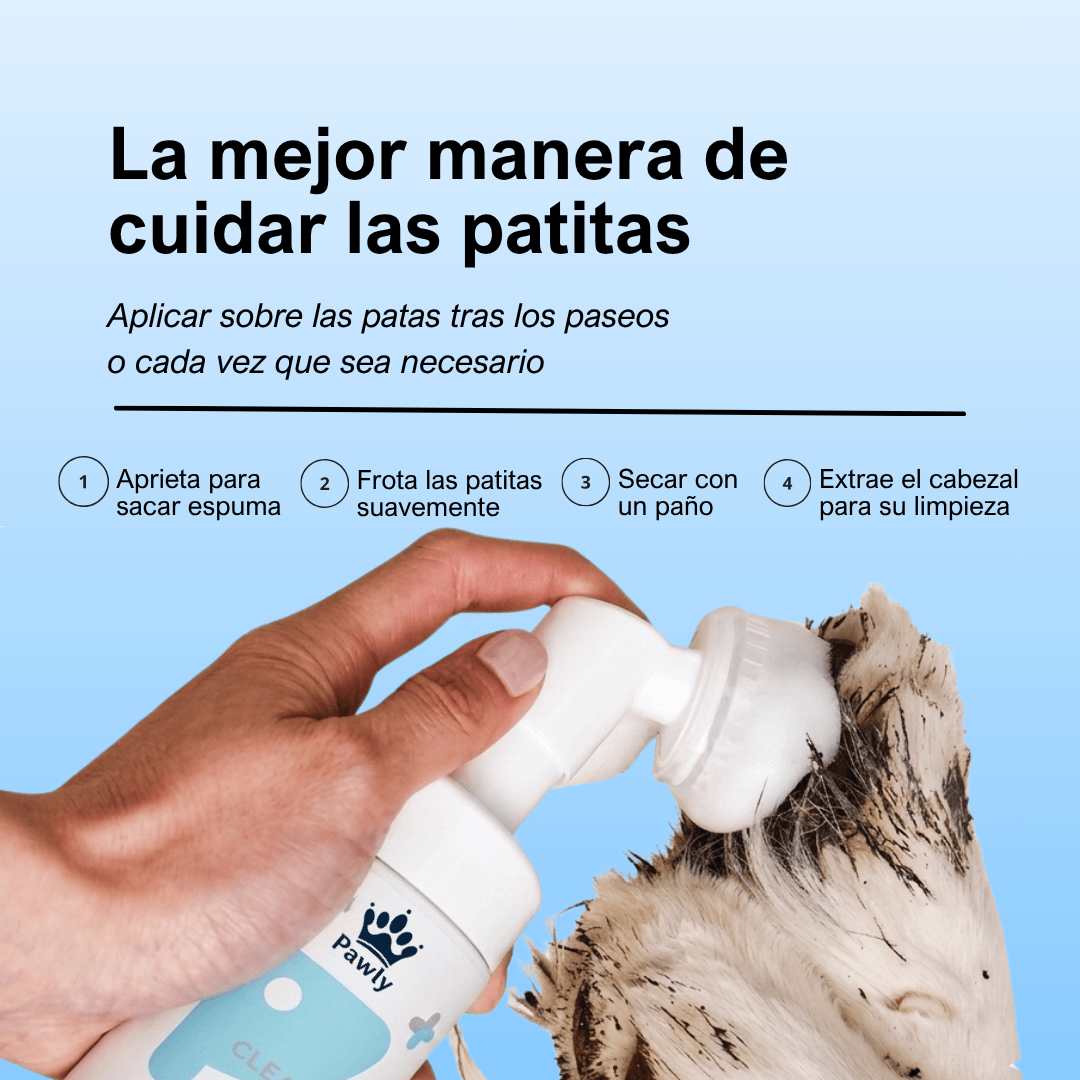 Espuma higienizante para patas