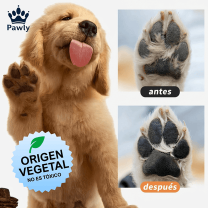Espuma higienizante para patas